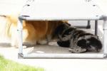 merly und sky 13